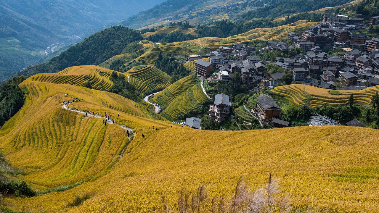 Longji Rice Terraces Terrace Walks and Rural China Quiet