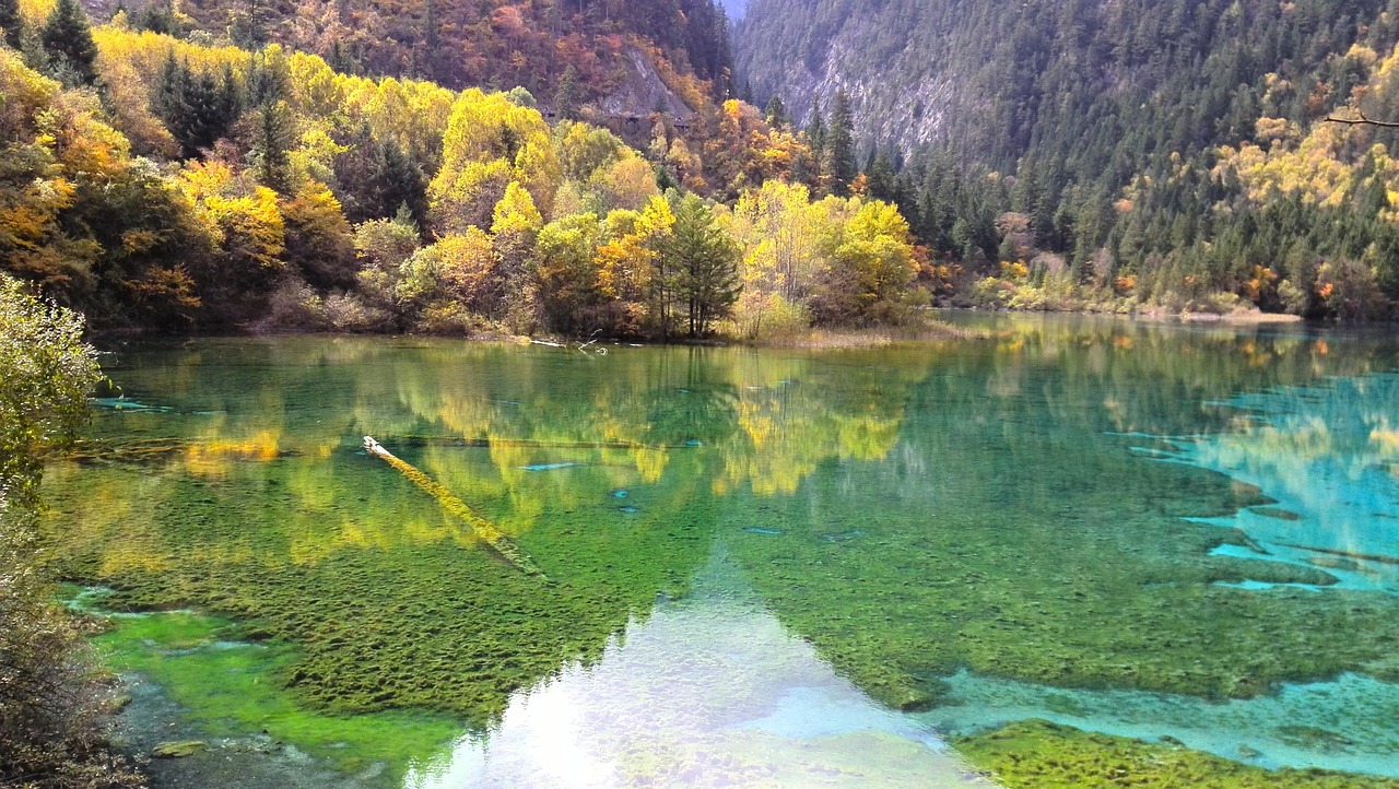 Autumn best times for scenery across China, from alpine valleys to limestone landscapes