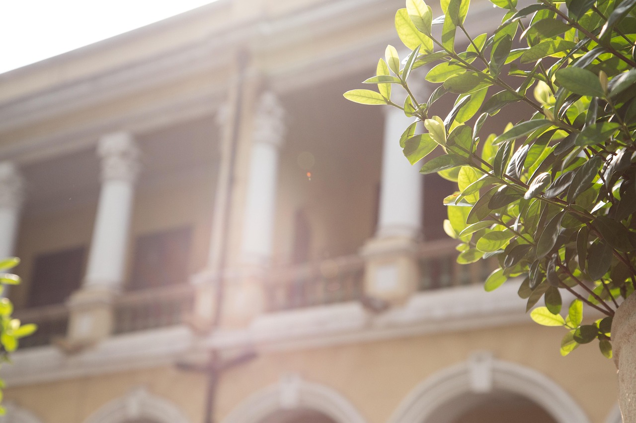Shamian Island a refined stroll through living history among colonial architecture and gardens