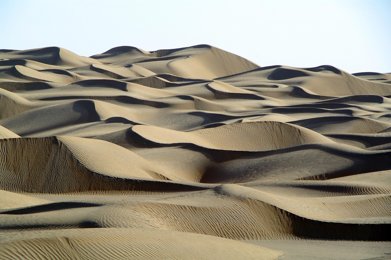 Taklamakan Desert edge camel moments and music nights