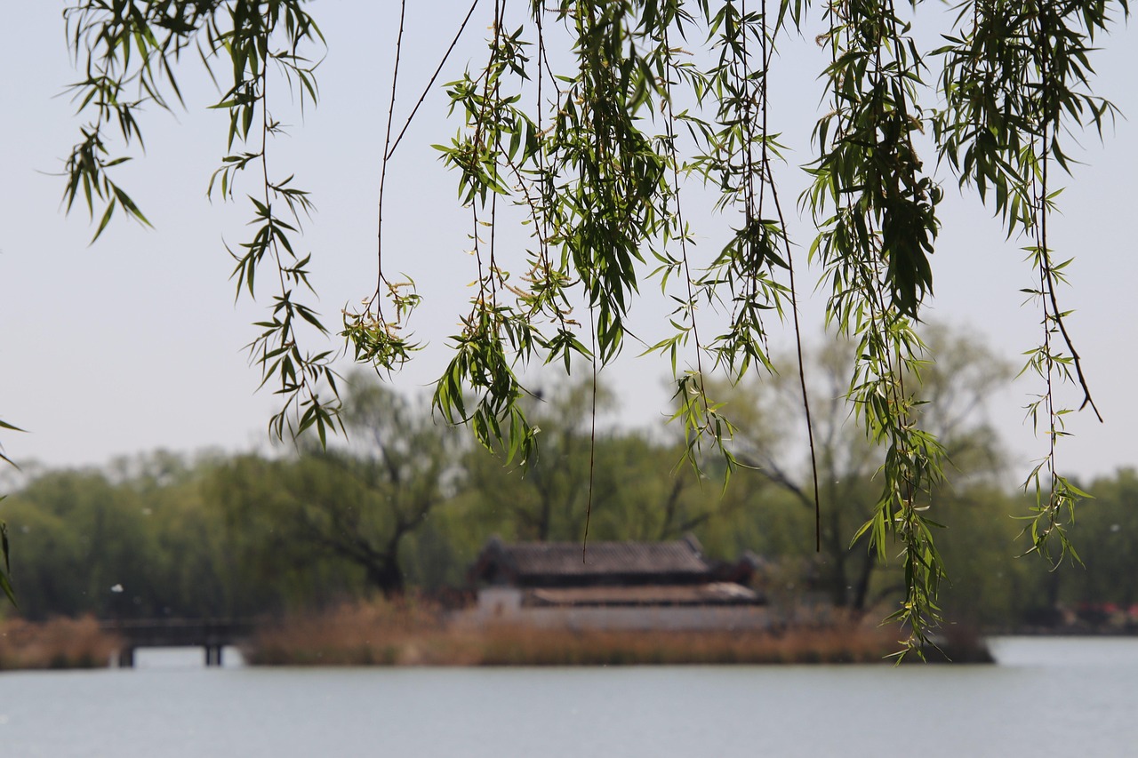 Why the Old Summer Palace in Beijing Still Calls to Adventurers
