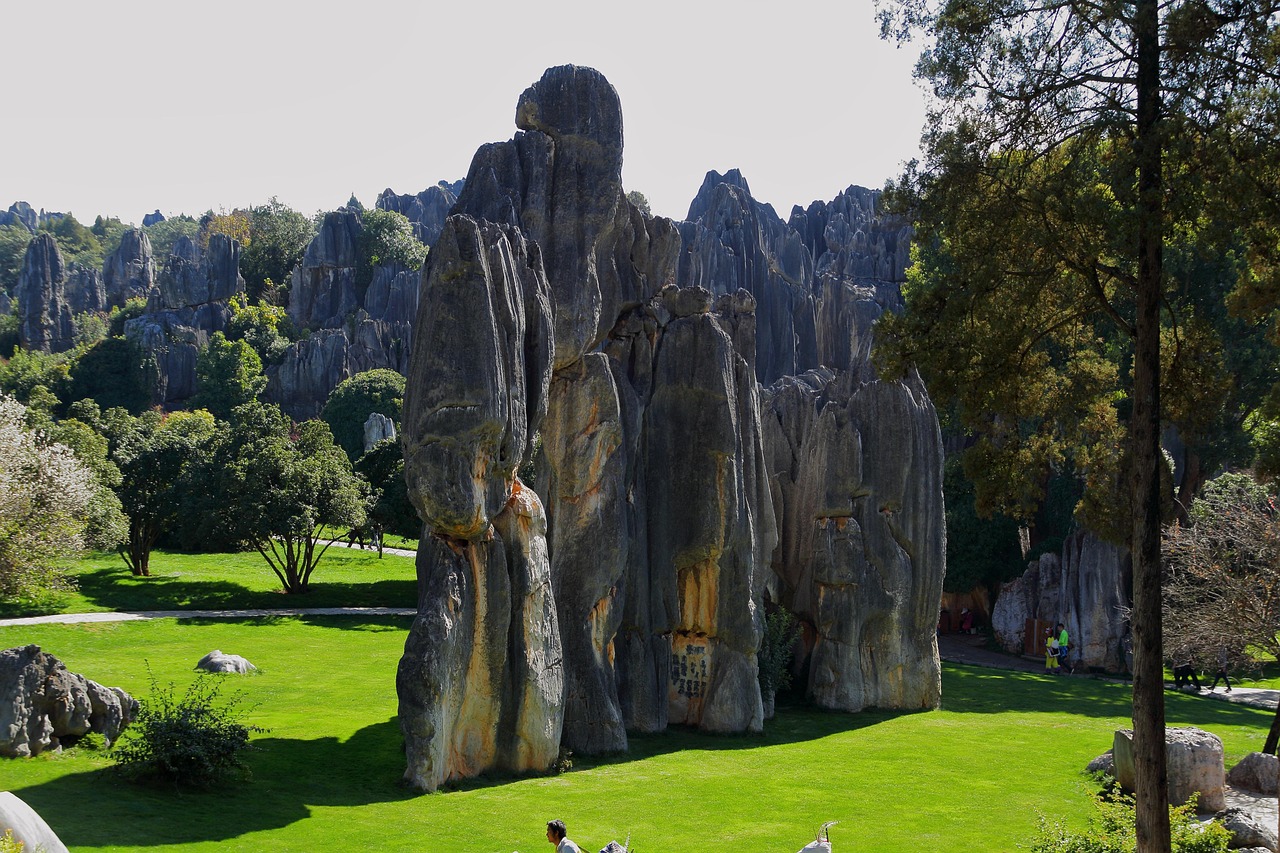 How to get to Stone Forest from Kunming without stress