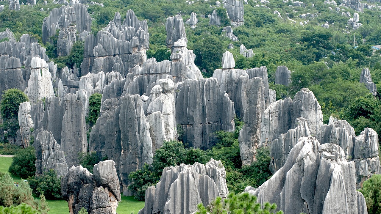 Practical planning for a seamless Stone Forest tour day
