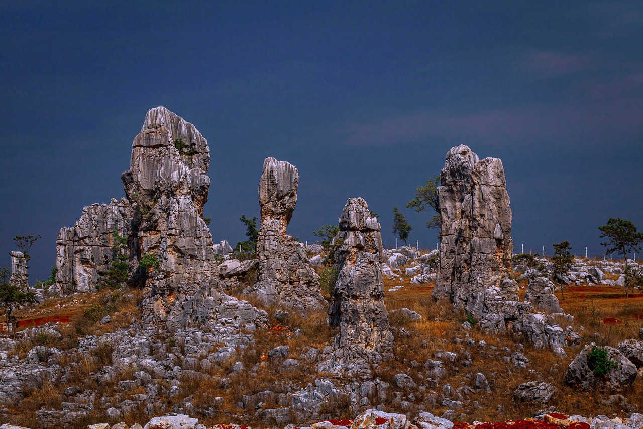 Why the Stone Forest in Yunnan Captivates in Shilin with dramatic stone pinnacles