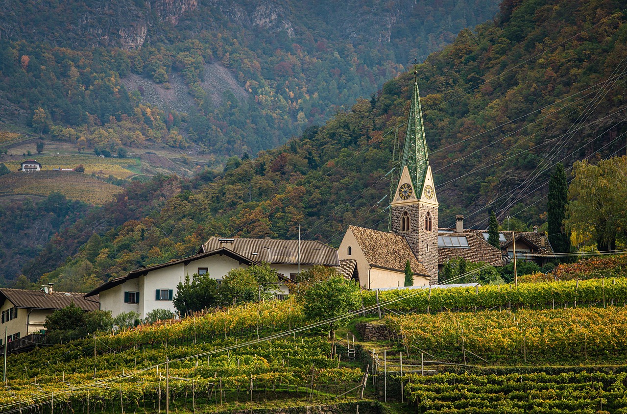 Frascati wine tasting in the Castelli Romani with local insight and long lunch