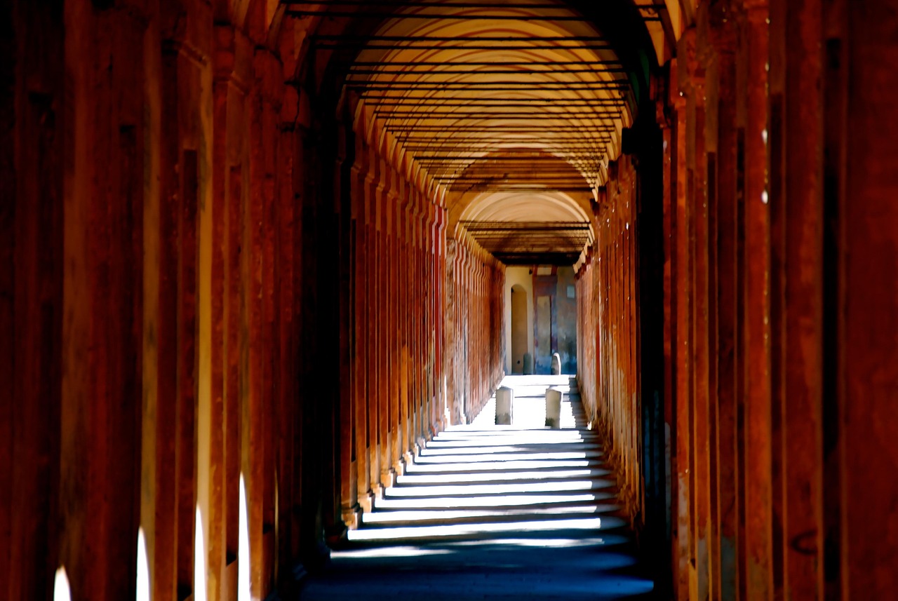 University of Bologna Oldest University History and Culture Walking Tour