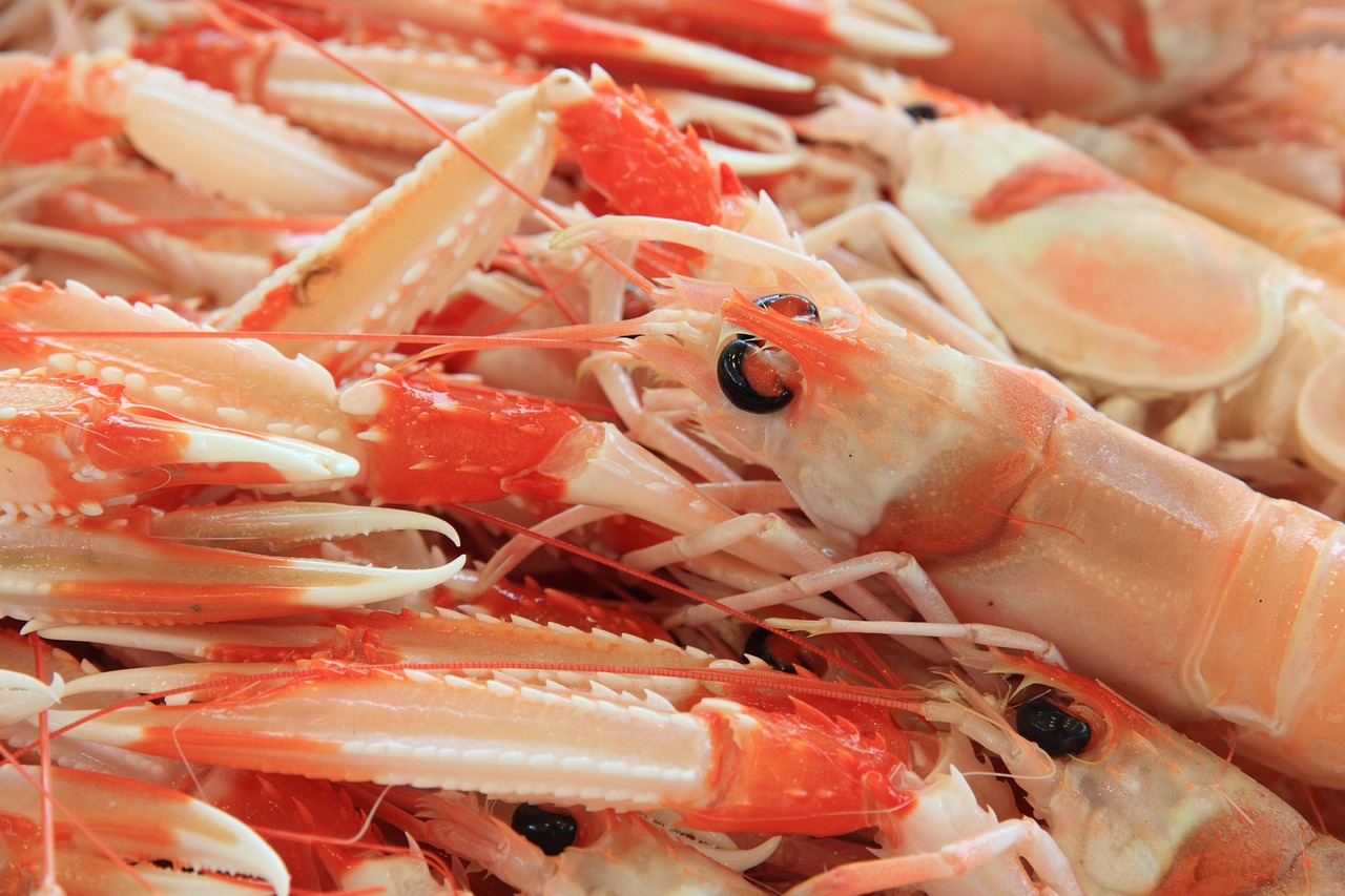 Mercato Centrale di Livorno and Tuscan flavours with local trust