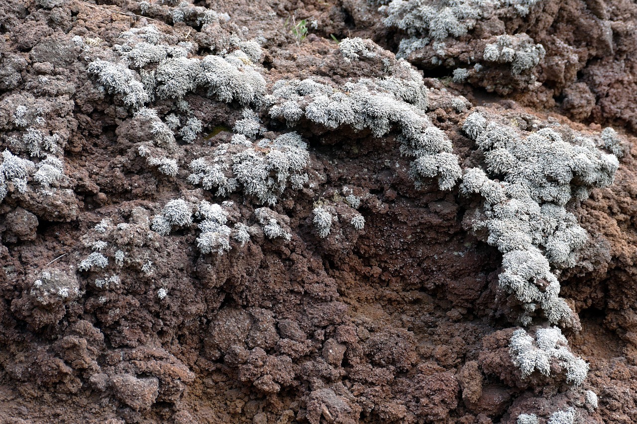Visiting Mount Vesuvius Gran Cono crater hike with confidence on the volcanic path