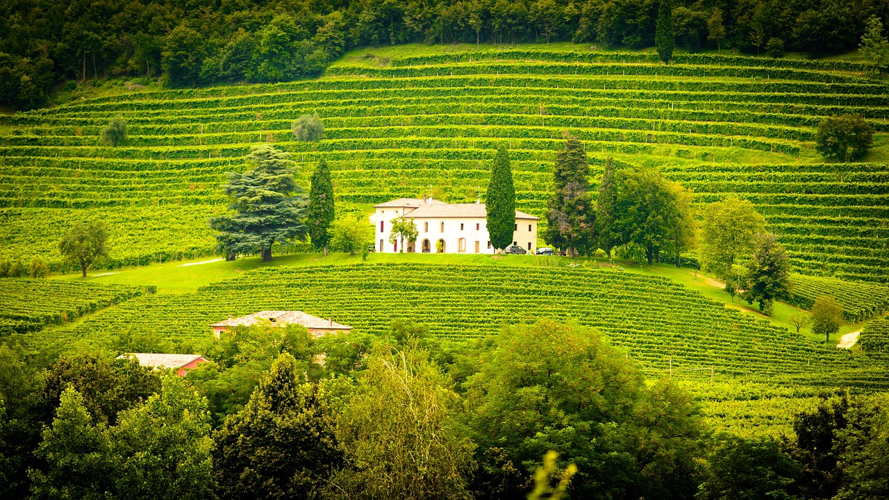 Valpolicella wine, eat in Verona, and a Lake Garda day trip