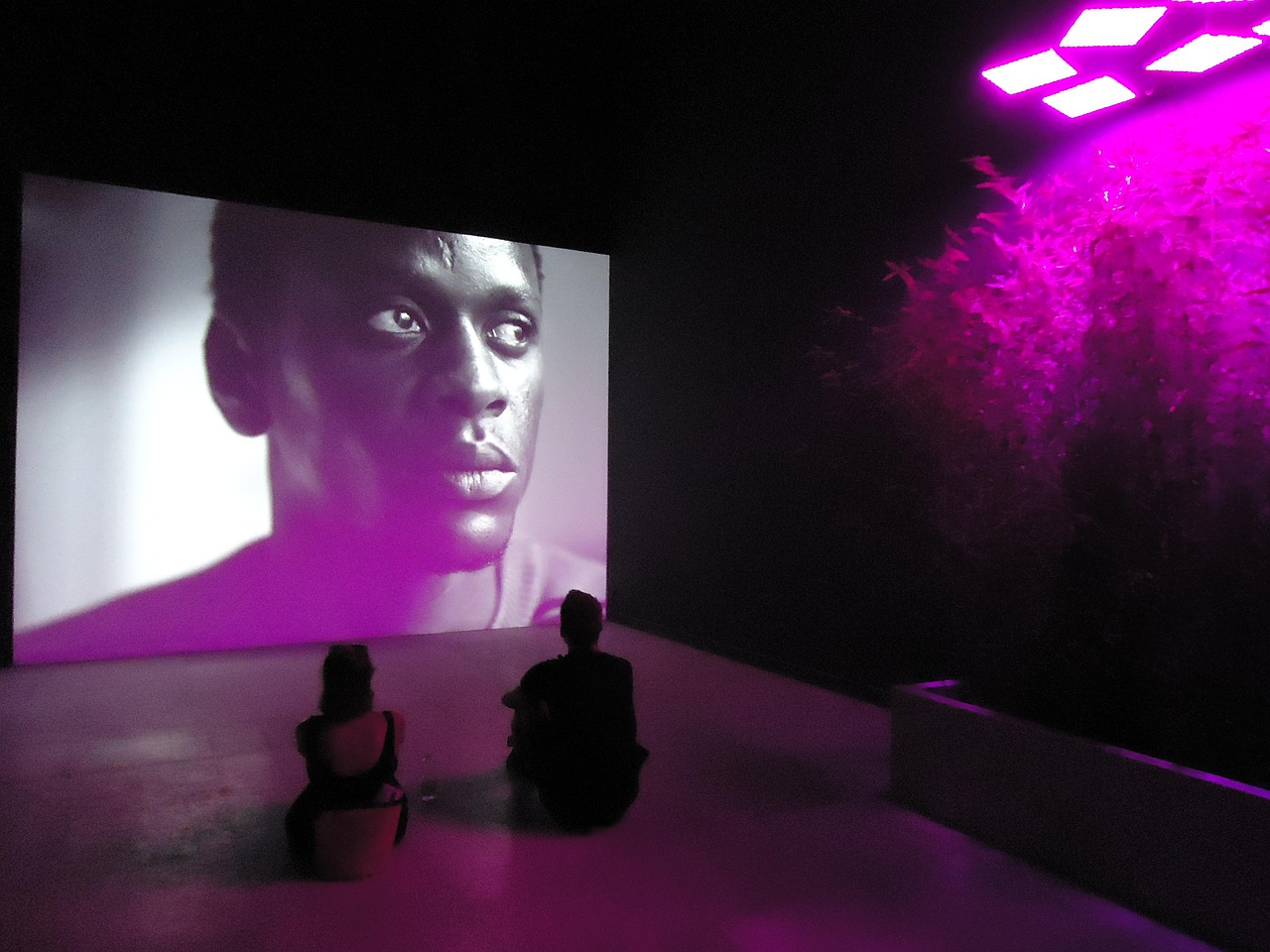 Exhibition nights and guided tour energy at the Peggy Guggenheim Collection during Biennale season