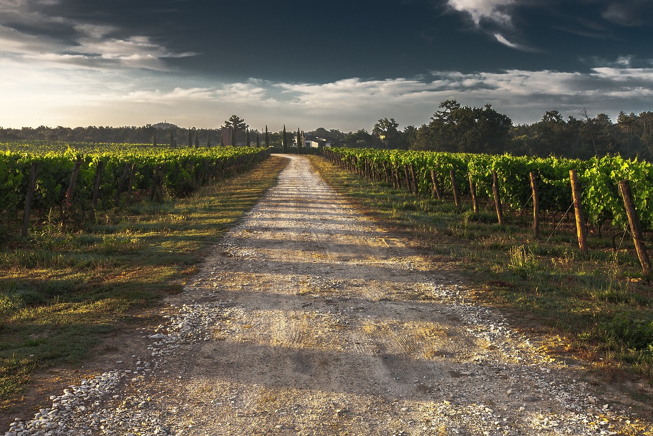Beyond the leaning tower day trip ideas near Pisa in the Tuscany countryside estates and Marina di Pisa