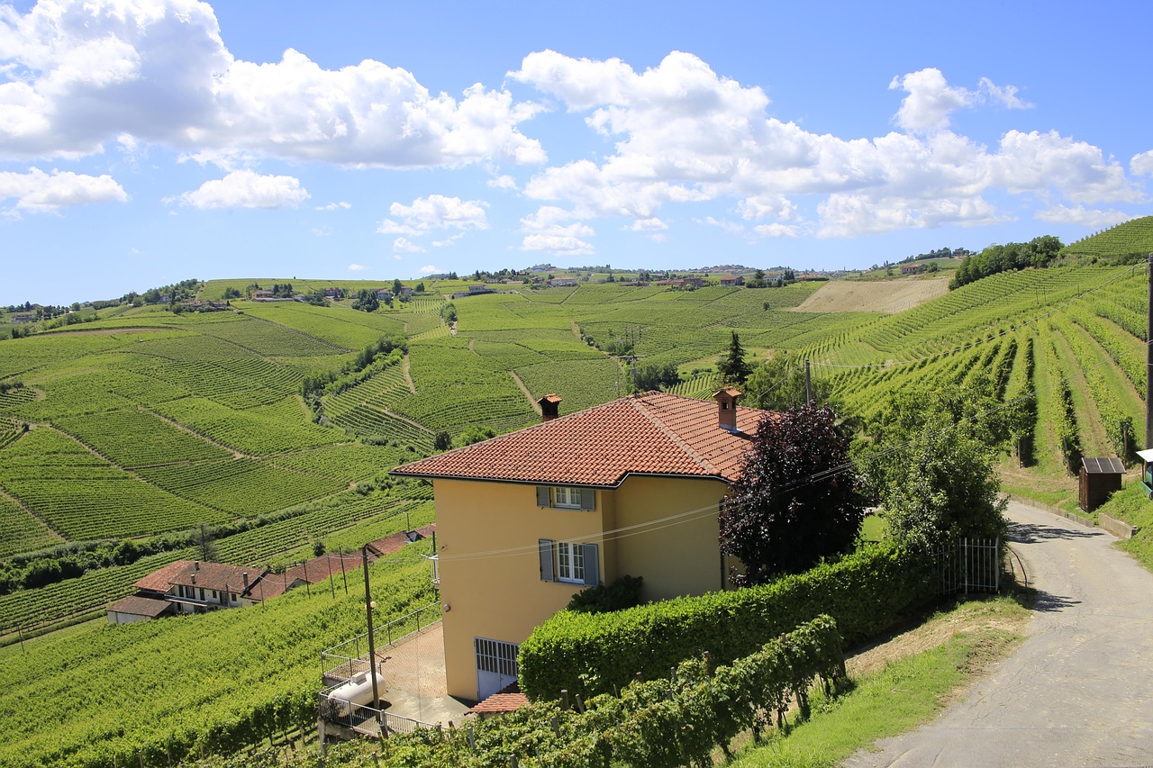 Valenza Italy hiking trails car scenic views sun near Piedmont hills