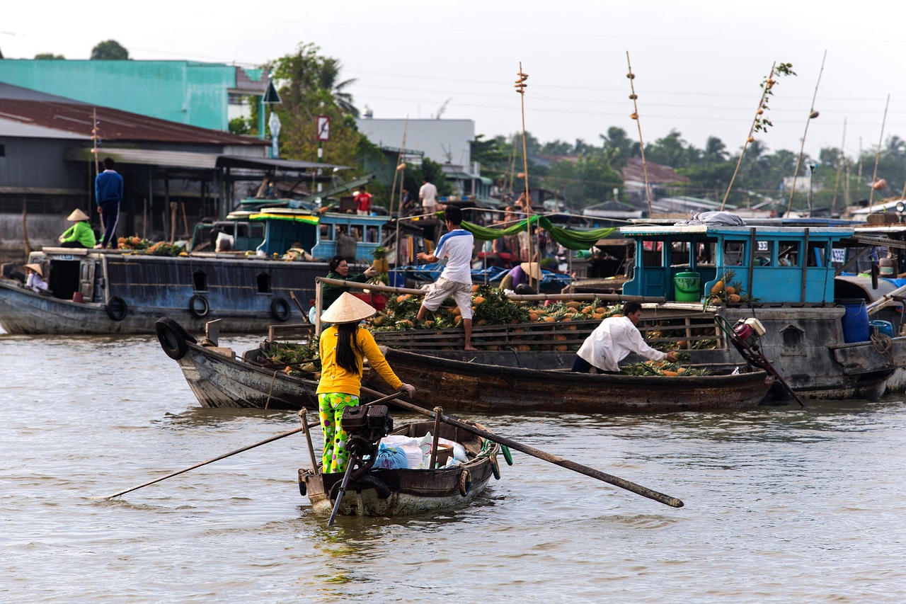 Mekong Delta Private Boat Trip Plus Vietnam Travel Tips and Vietnam FAQ
