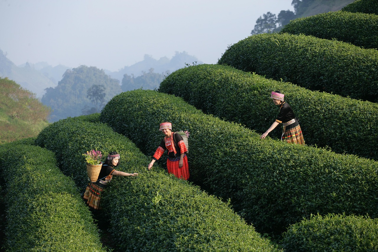 Day trip design from Saigon to Cu Chi Tunnels and Mekong Delta with calm planning and comfort