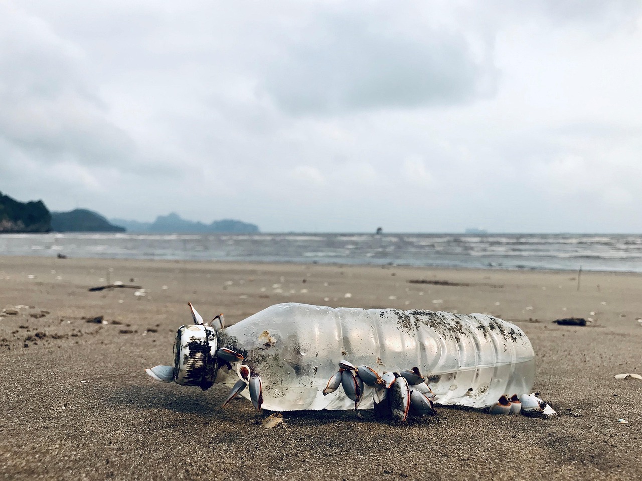 Cat Ba Island add-ons with Cat Ba National Park hikes and Viet Hai Village