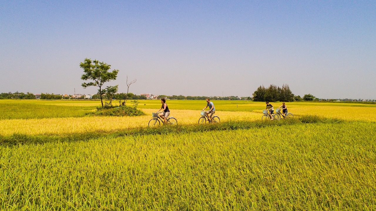 Cycling Tam Coc Ninh Binh through rice fields and local villages