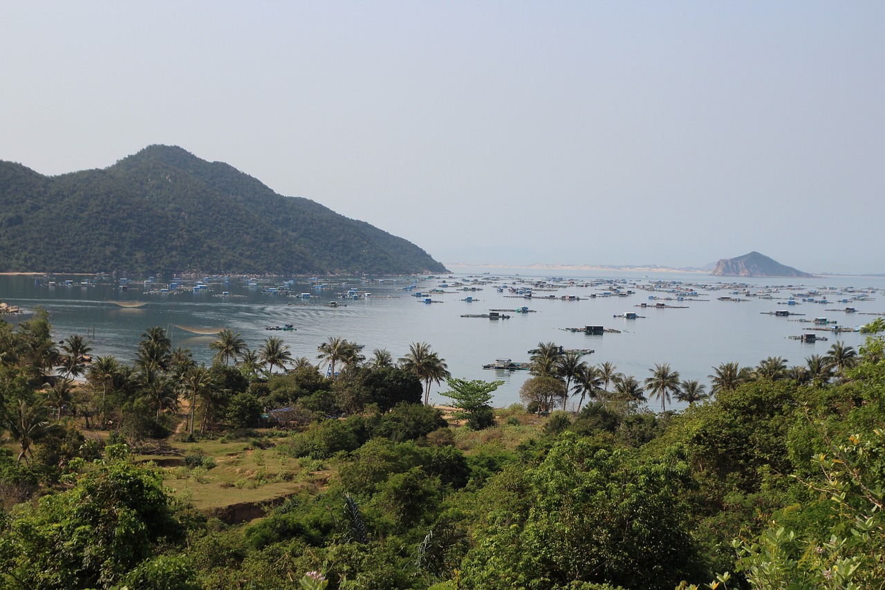 Best Time to Visit Central Vietnam for Weather and Calm