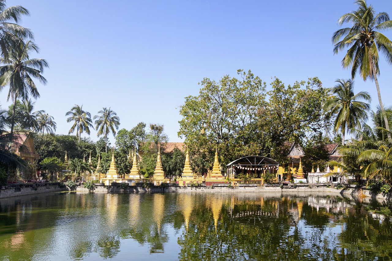 Explore My Son Sanctuary temples and sacred highlights at the Lion Courtyard and central tower
