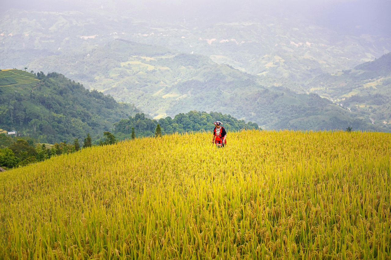 Northern Vietnam Itinerary Overview for High-End Travellers with a serene lakeside moment