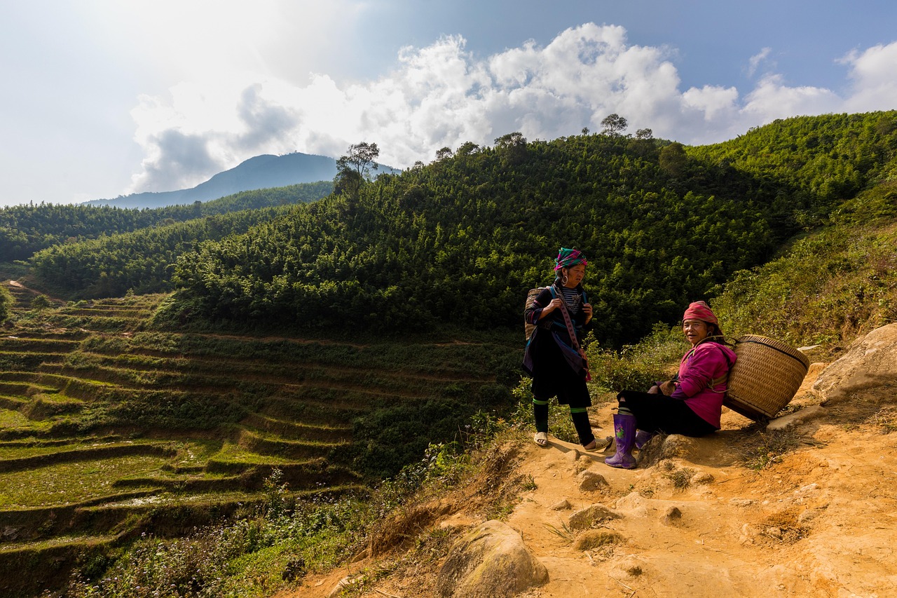 Sapa and Sa Pa Luxury Trekking Through Rice Terraces in Northern Vietnam