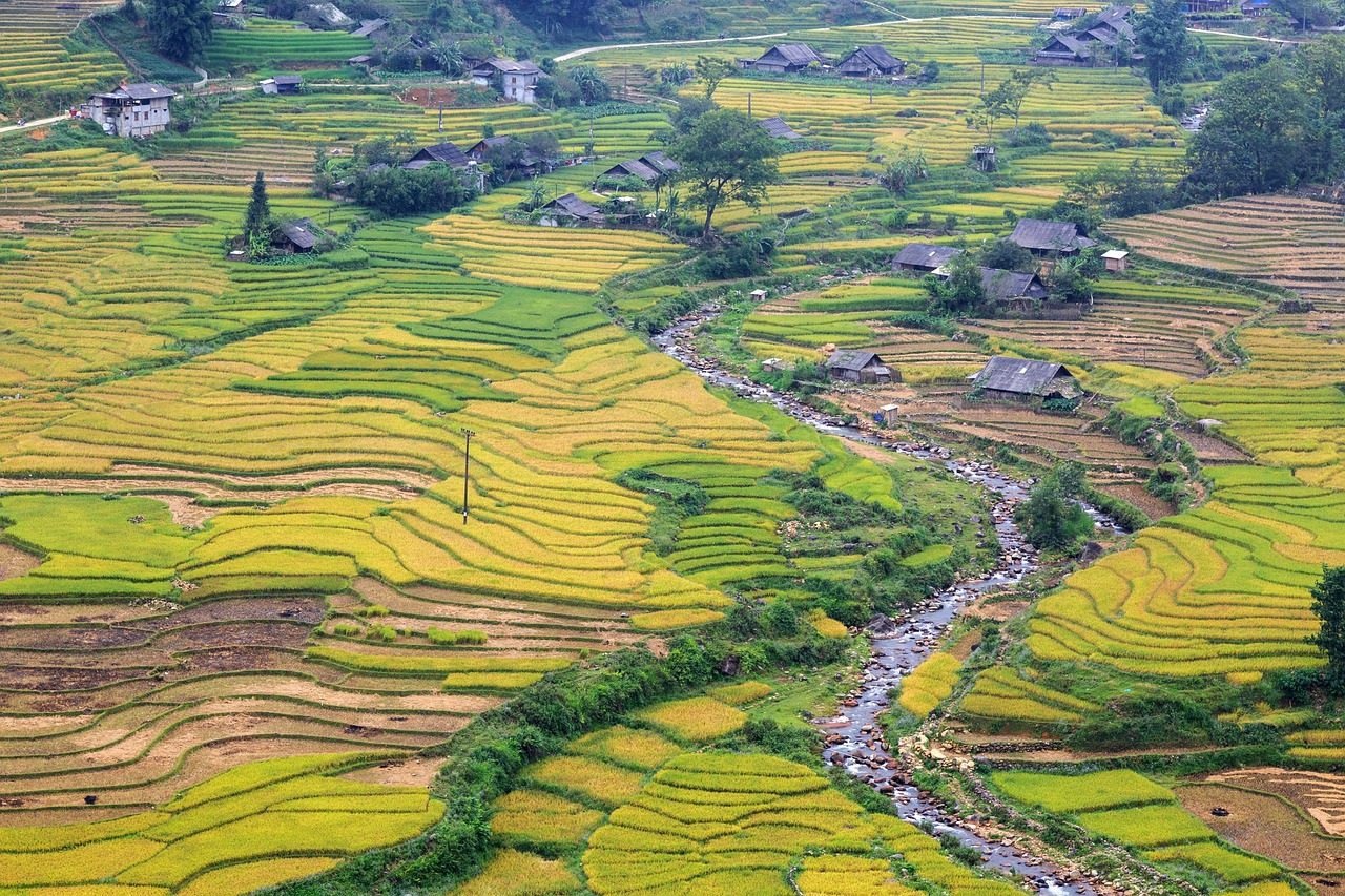 Planning a trip to Sapa Vietnam best time to visit and how to get to Sapa