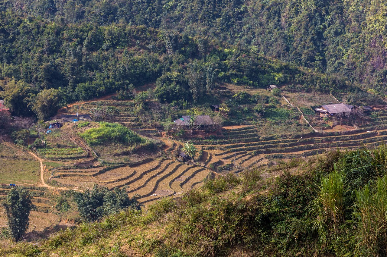 Muong Hoa Valley rice terraces and the Ta Van to Lao Chai trek