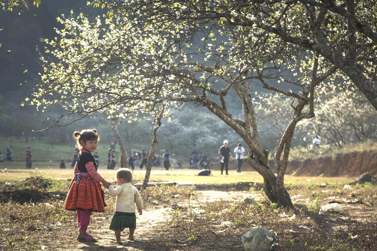Cat Cat village and Ta Phin village culture up close with crafts and mountain lanes