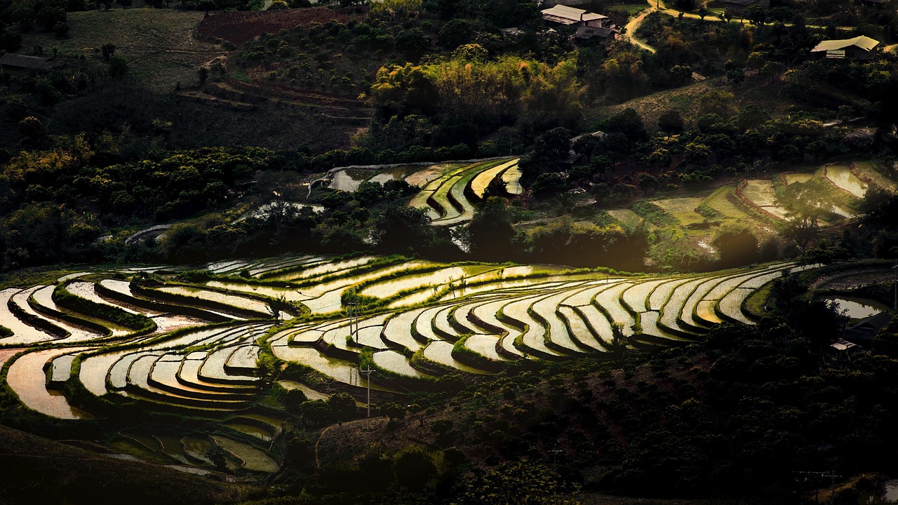 Best Time to Visit Bac Ha and Design a Seamless Itinerary with rice terraces