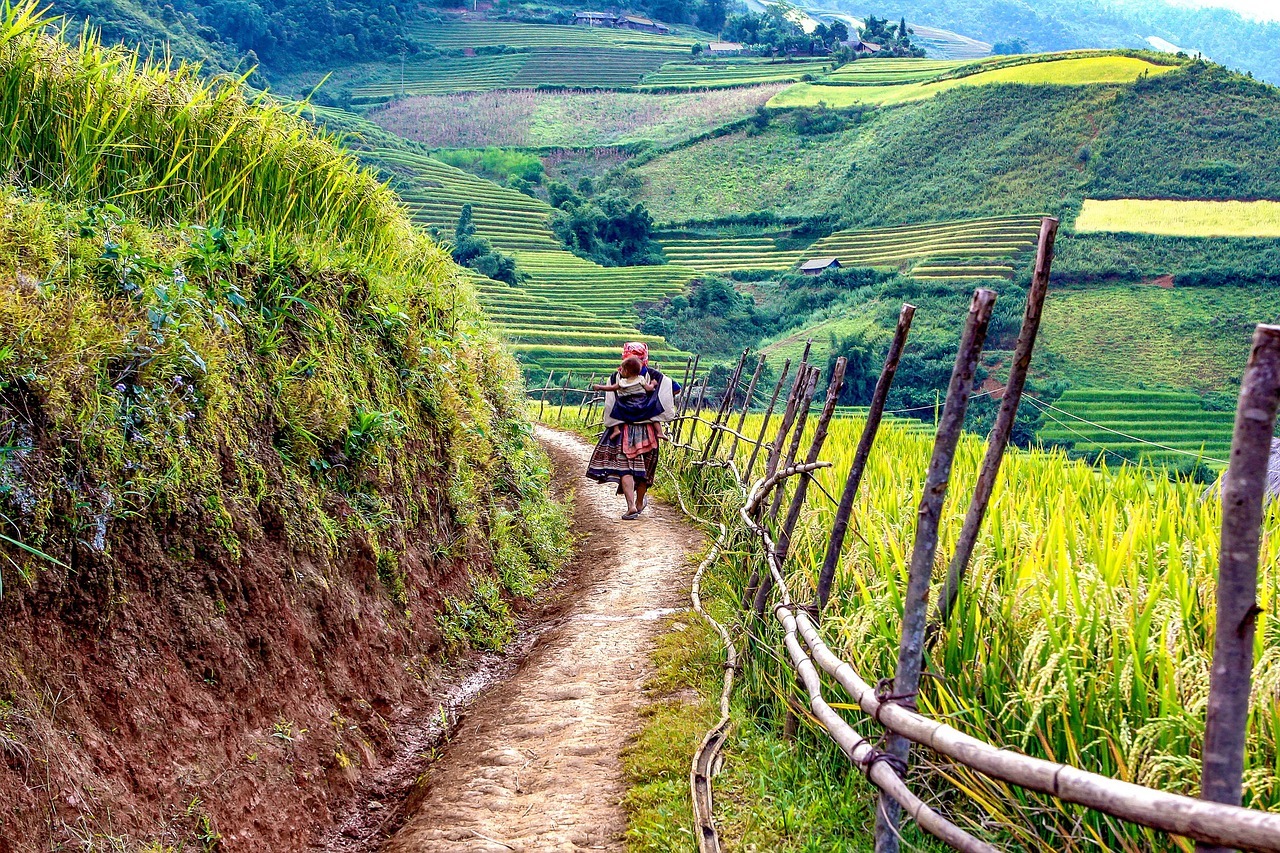 Travel to Bac Ha from Hanoi and Lao Cai with confidence on mountain roads