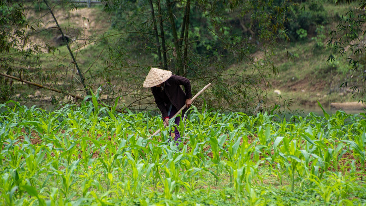 Getting to Phong Nha via Dong Hoi and settling in locally before the Son Doong expedition