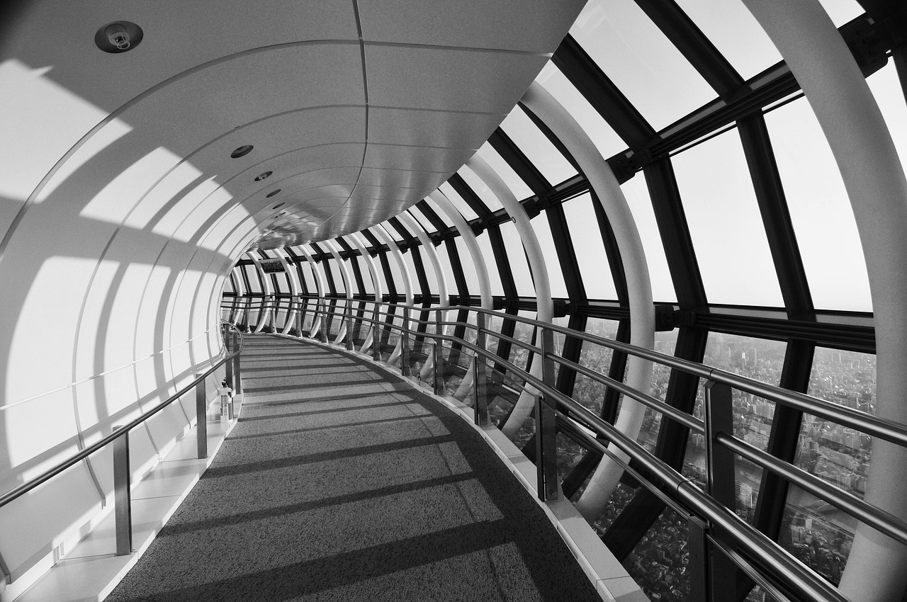 Tokyo Landmarks from Senso-ji to Sky-High Views with an observation deck moment
