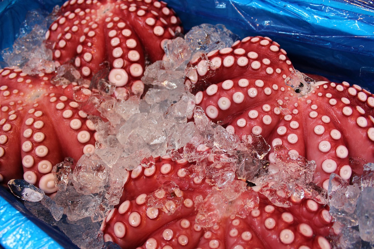 Tsukiji and Tokyo Dining Crafted for Gourmands from market stalls to chef counters