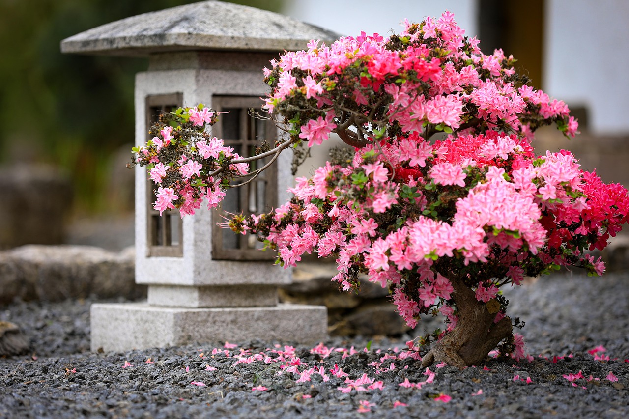 Explore the garden path tea houses and seasonal azaleas at Nezu Museum