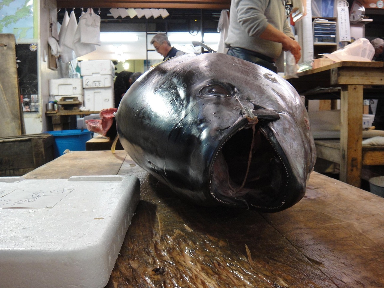 Tsukiji Market Sushi Workshop Booking and Things to Do in Tokyo on a Trip to Tokyo