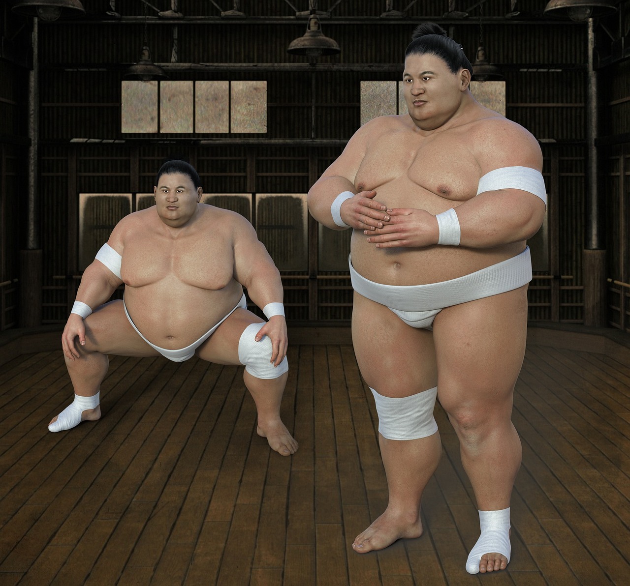 Choosing the best seat and viewing etiquette in the Sumo Hall