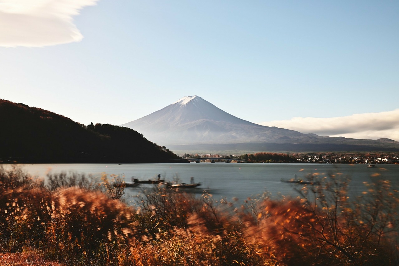 Around Tokyo day trip ideas: Fuji views, Tokyo DisneySea, and Shinjuku Gyoen garden pauses