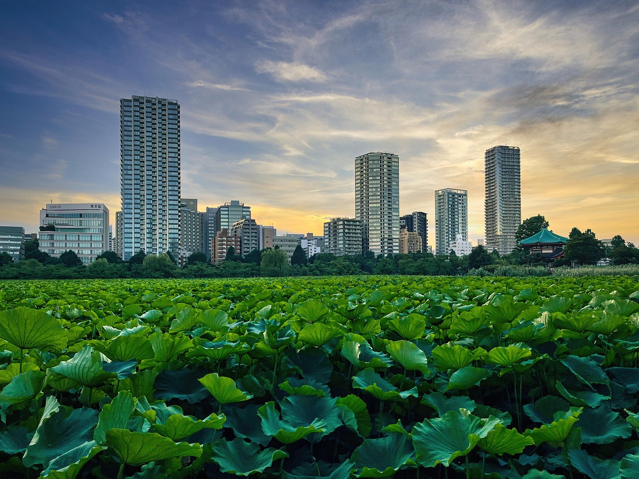 Children’s Zoo and Ueno Park seasonal scenes to explore together