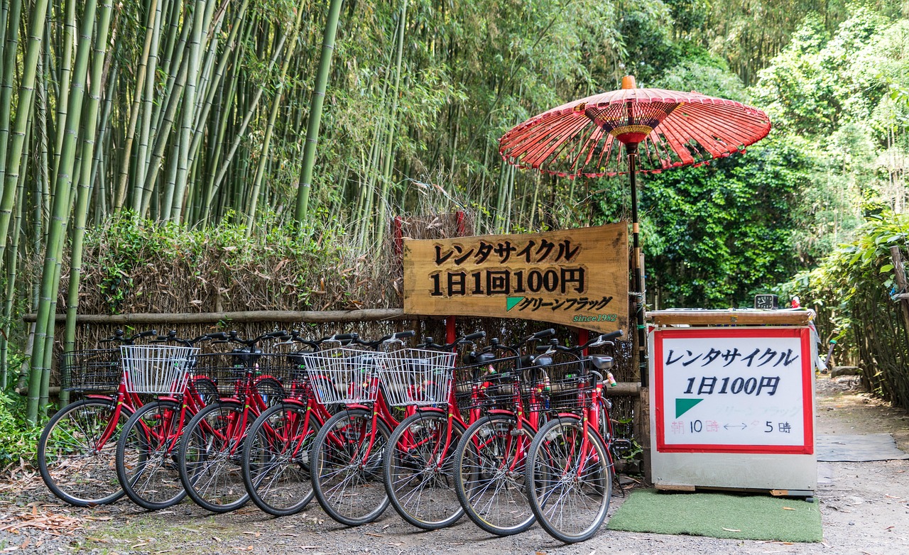 Unique things to do in Kyoto city from bamboo forest walks to market browsing