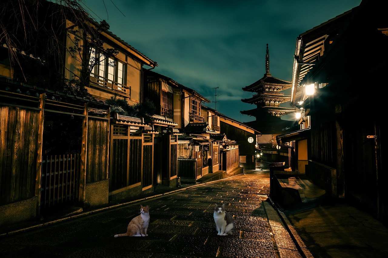 Things to Do in Kyoto City for a First Visit with a luxury pace