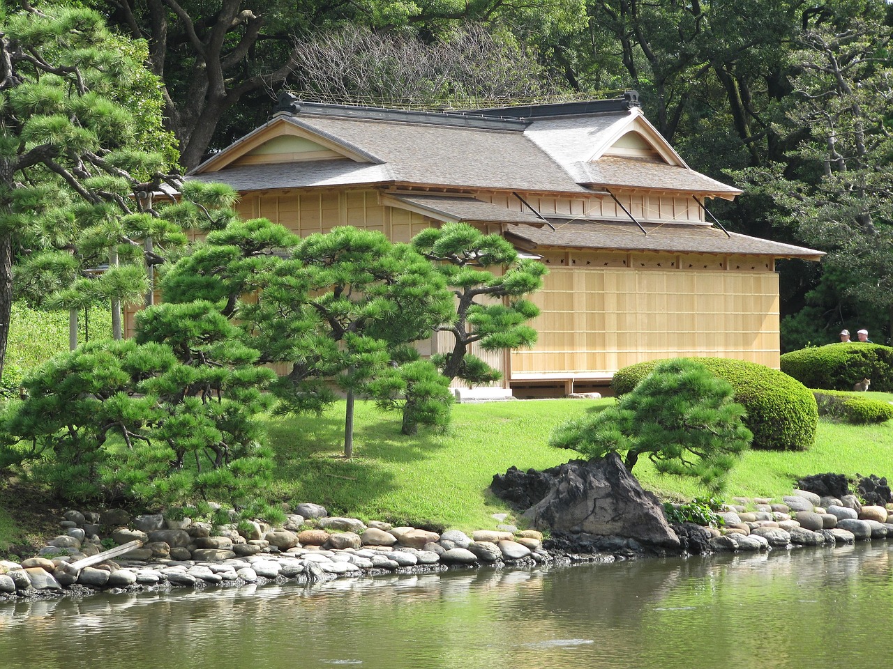 Gion Evenings Tea Ceremonies and Geisha Culture with lantern-lit lanes in traditional Kyoto