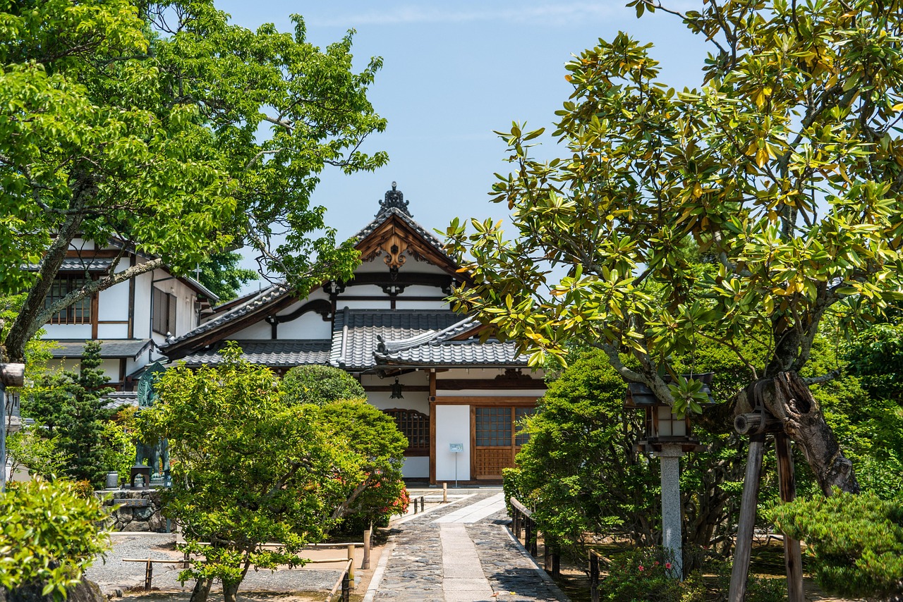 Arashiyama bamboo grove and day trips around Kyoto