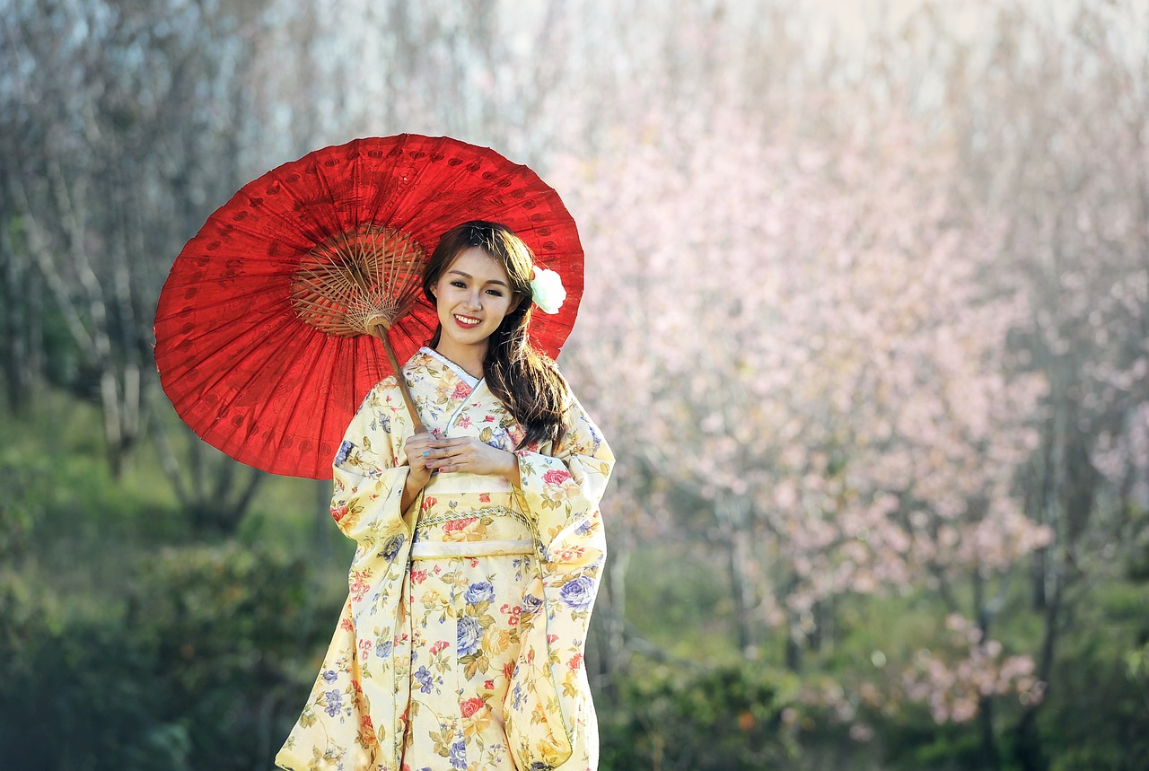 Gion After Dark Tea Ceremonies Geisha Culture and Traditional Kyoto streets