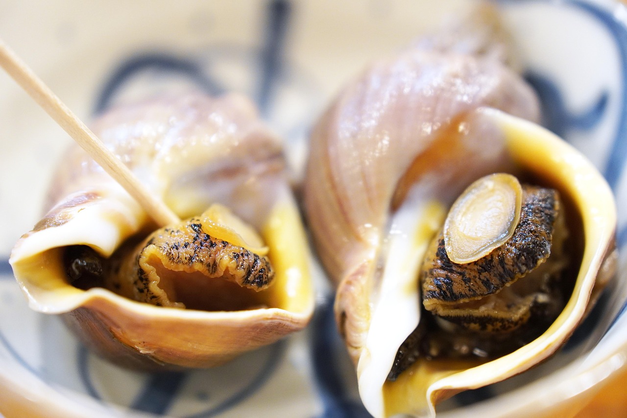 Fun Things Around Kyoto including Nishiki Market Arashiyama and where to stay in Kyoto