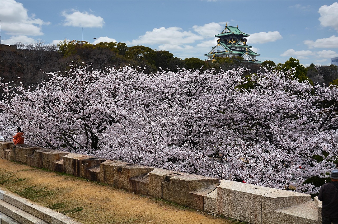 Osaka Castle moments and a crafted history walk