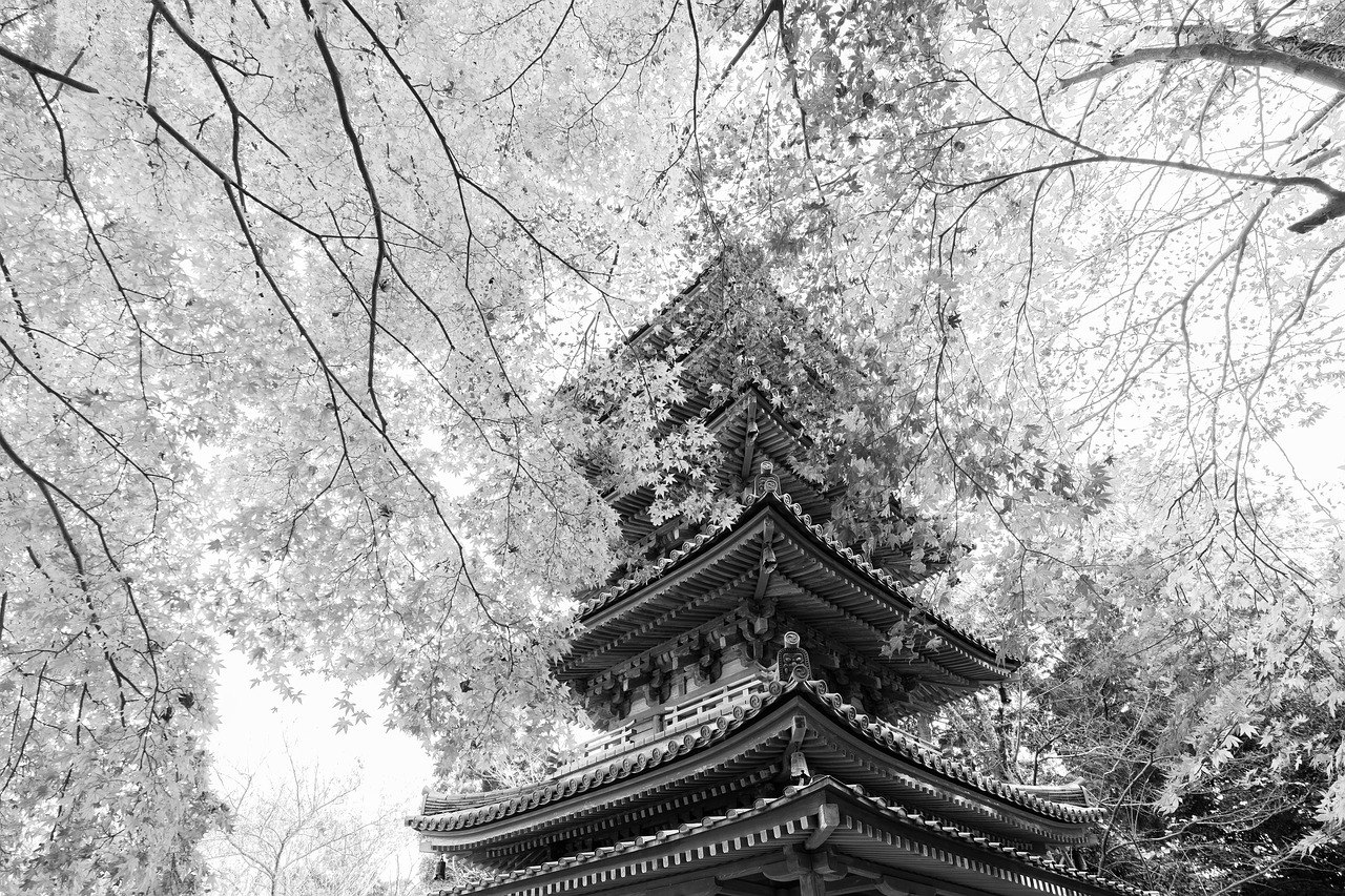 Exploring the Temple Garan Five-Story Pagoda and Golden Hall
