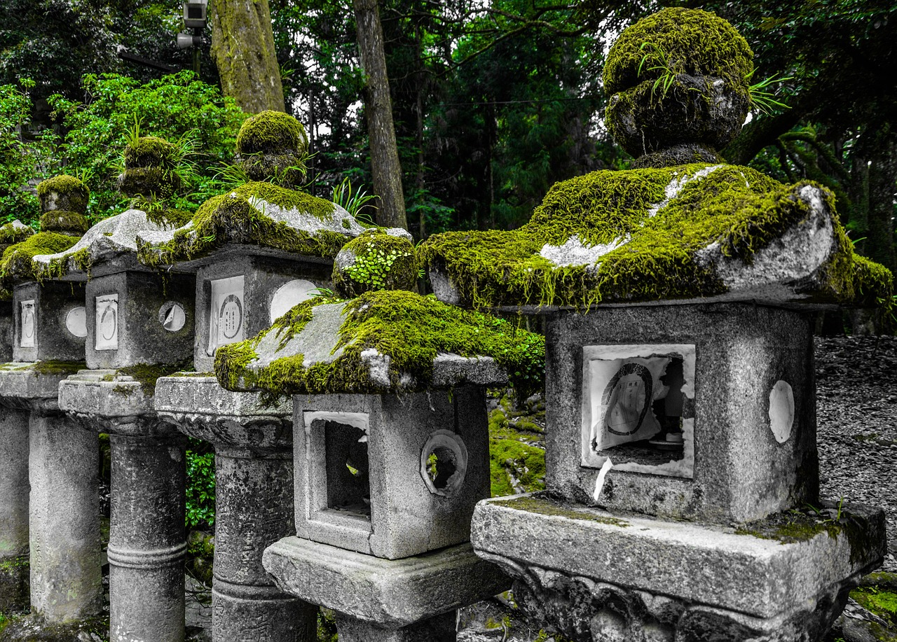 Lantern magic at Kasuga Taisha with stone paths and warm light