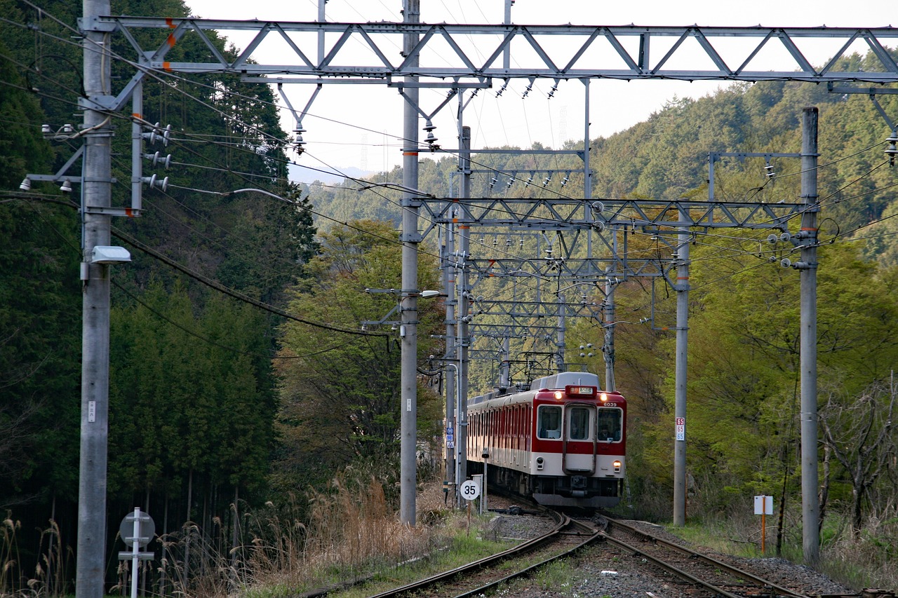 A Crafted Itinerary for One Day in Nara From Kyoto or Osaka with an easy train-led day trip