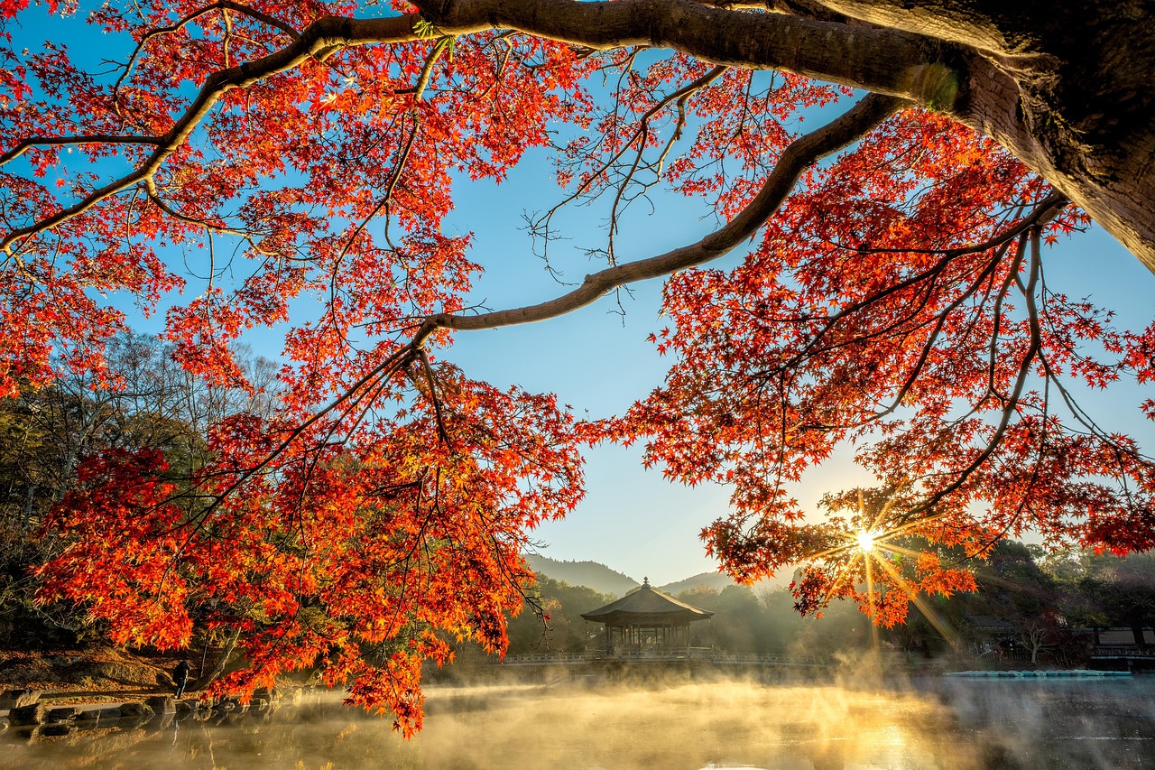 Why visit Todaiji Temple in Nara with peaceful water views and historic grounds