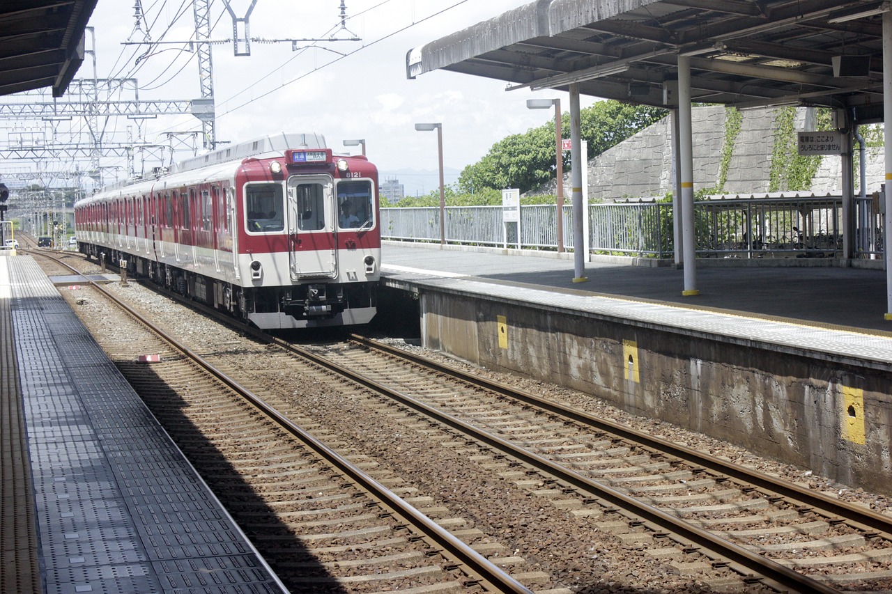 Tokyo to Hakone: how to get there with passes and transfers