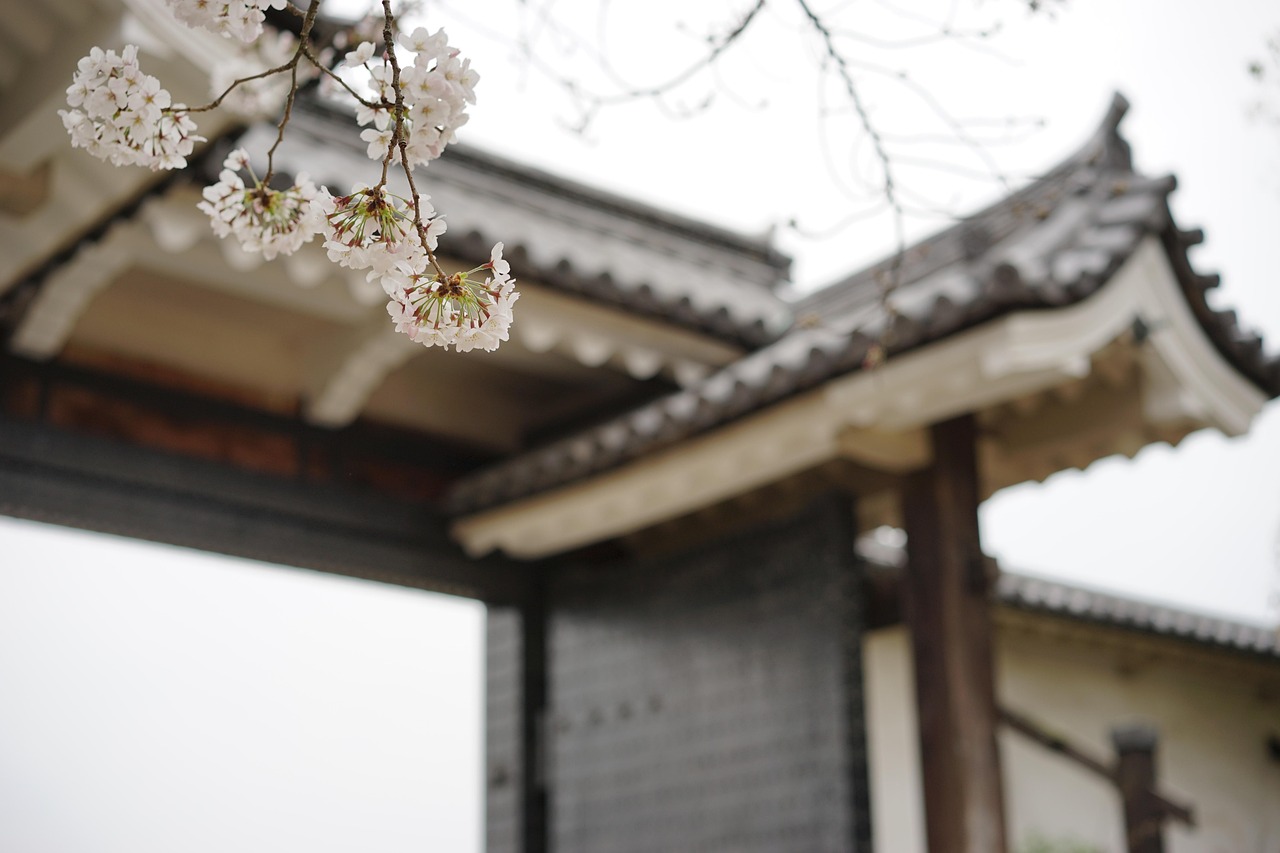 Gardens, seasonal colour and the best spots for sakura calm